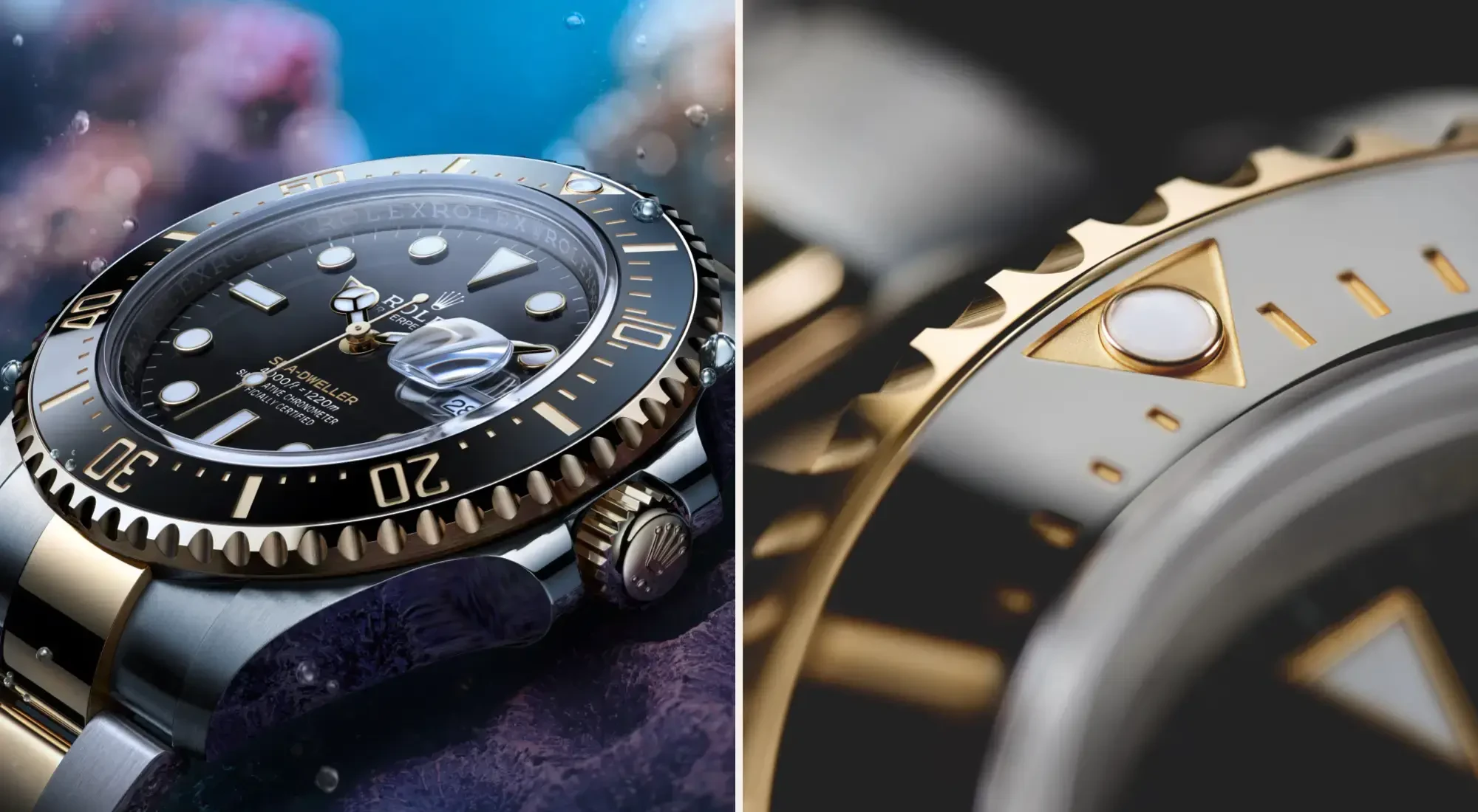 Rolex hero