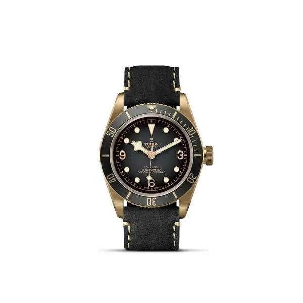 Black Bay Bronze